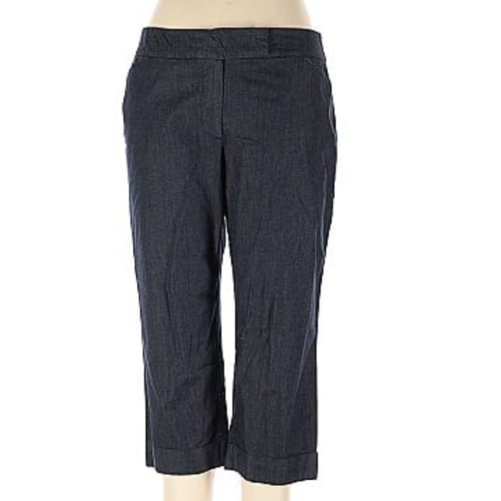 Ann Taylor Factory Signature Capri Pants